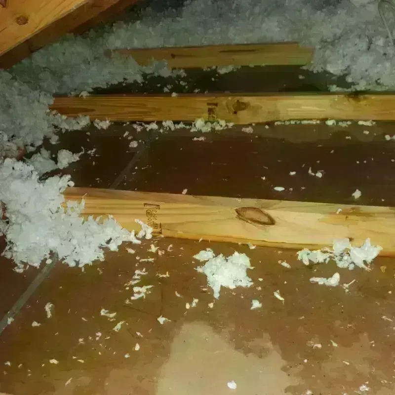 Attic Water Damage in Jackson County, TX