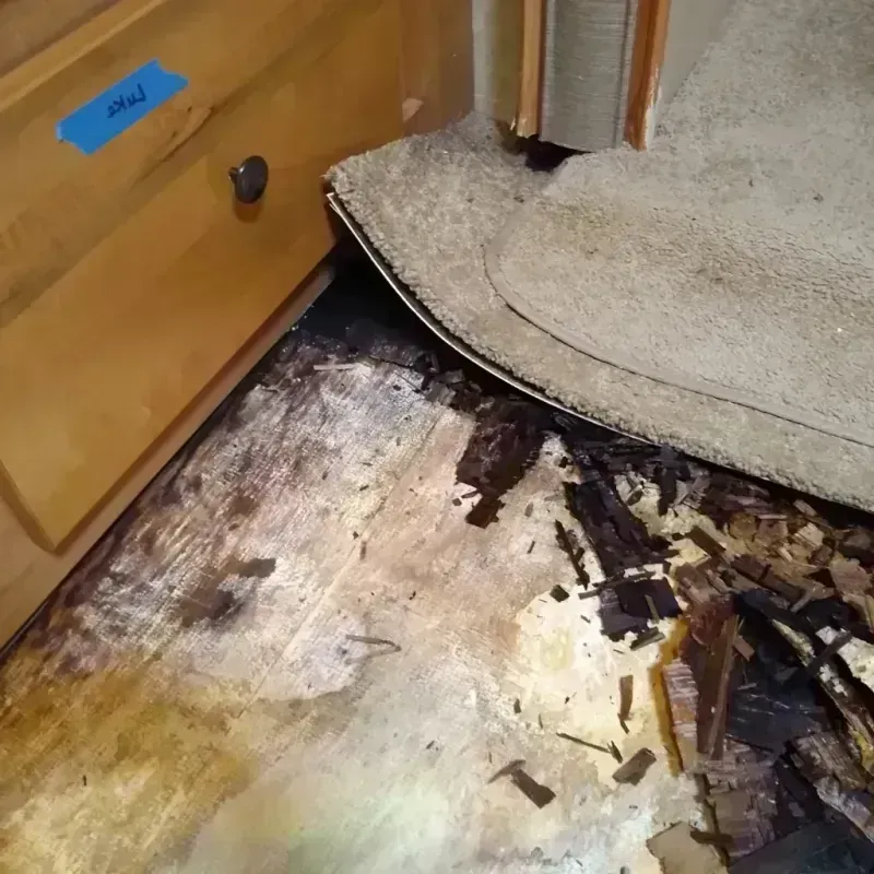 Wood Floor Water Damage in Jackson County, TX